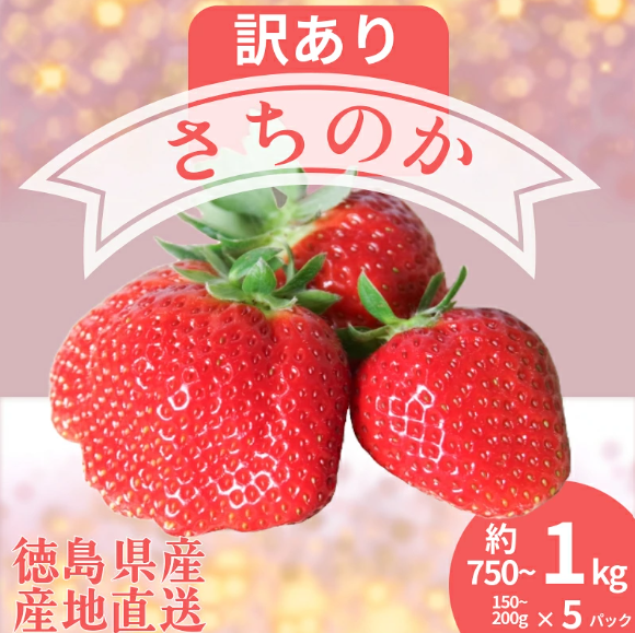 【2027年1月より順次発送】訳あり いちご さちのか 5パック 1パック150g~200g 計約750g~1kg 季節限定 ブランド 苺 大粒 旬 産地 直送 期間限定 限定出荷 フレッシュ